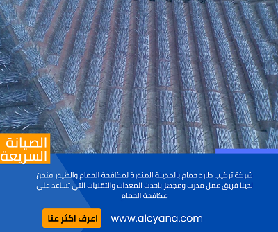 تركيب طارد الحمام واليمام بالمدينة المنورة